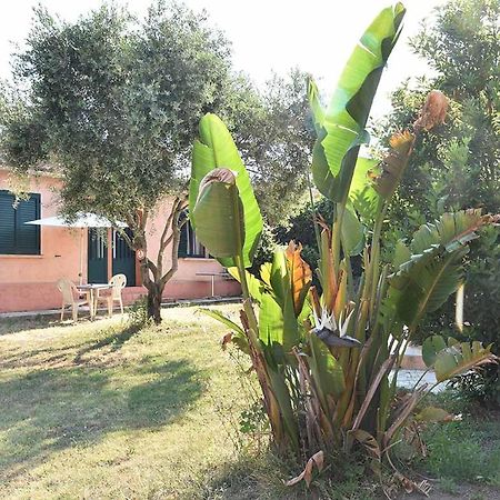 Terracorse Villa Figari  Exterior photo